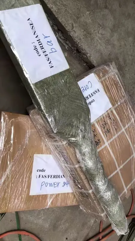 Dokumentasi PT. CVAS JASTIP IMPORT 5